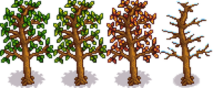 Persimmon Tree Phase 5.png