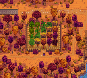 这是精心培育的旧社区花园的一个例子，周围有酒桶，空间里种满了果树和普通树木。